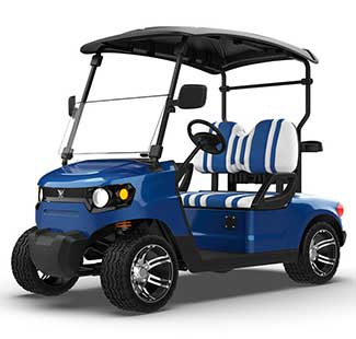 2-Sitzer Golf Buggy