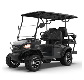 GGL 2 2 Sitzer Schwarz Lifted Golf Cart