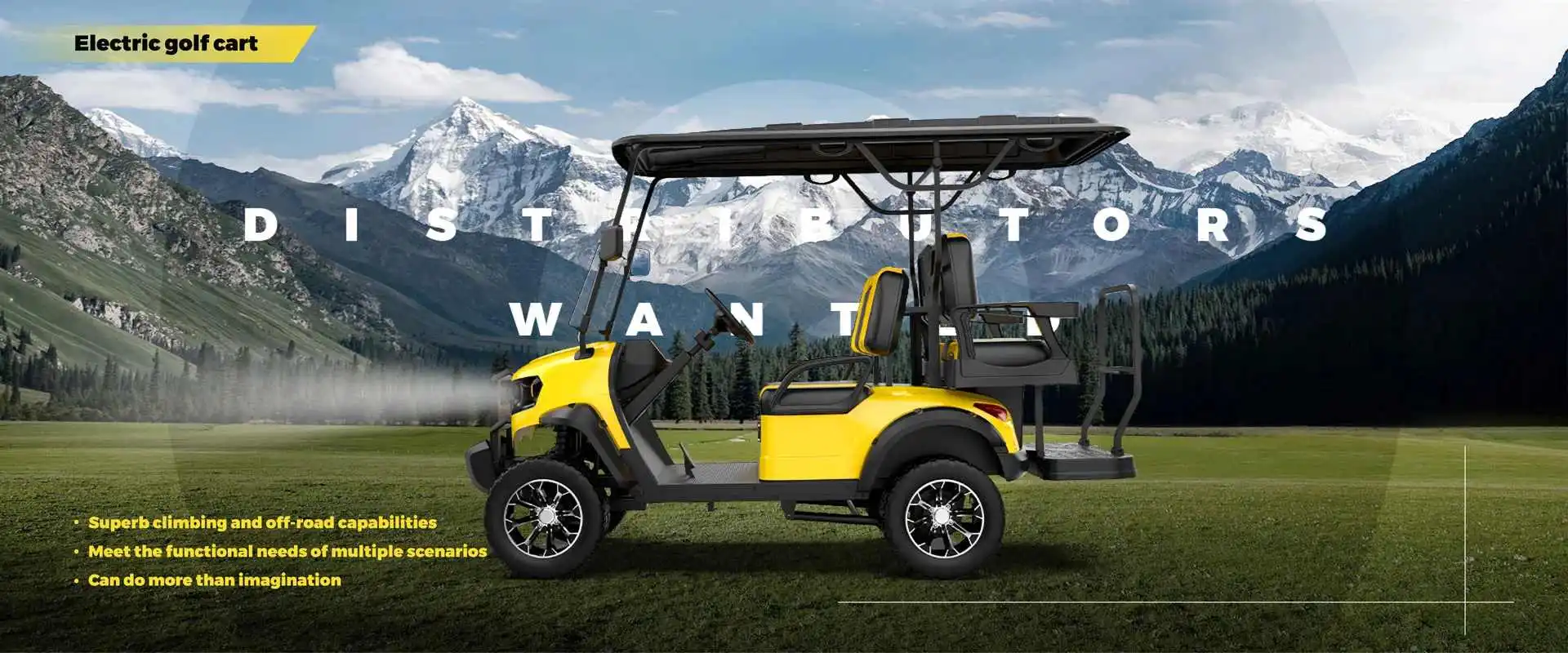 FL 2 2-Sitzer Elektro-Lifted Golf wagen